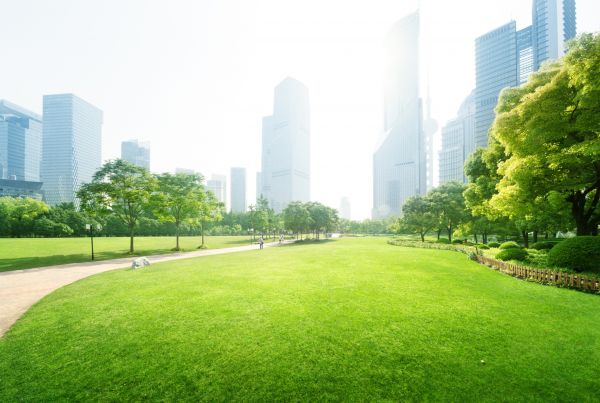 Commercial Landscape Maintenance in Kennewick
