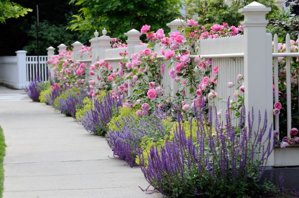 Garden Handyman Service in Kennewick