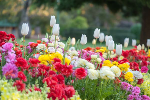Gardening Service in Kennewick
