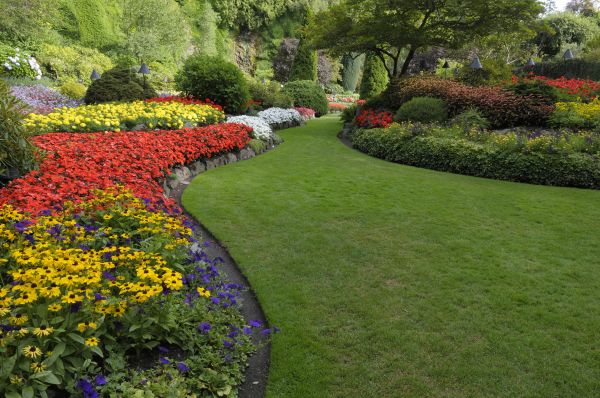Landscaping Maintenance in Kennewick