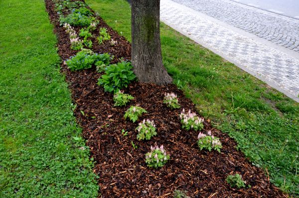Mulch Replacement Service in Kennewick