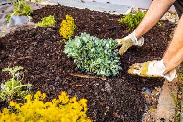 Weeding And Mulching in Kennewick