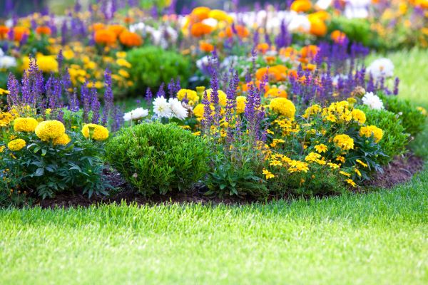 Garden Installation in Kennewick