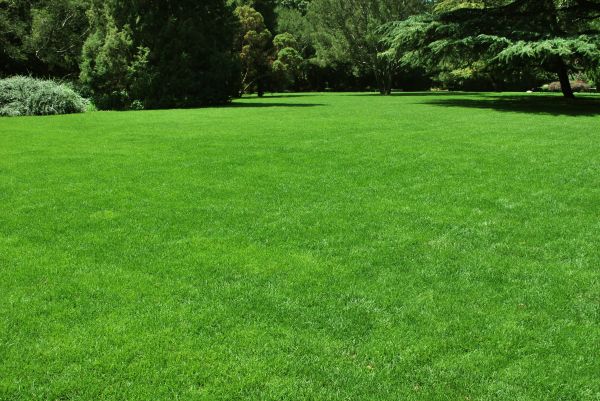 Lawn Landscaping in Kennewick