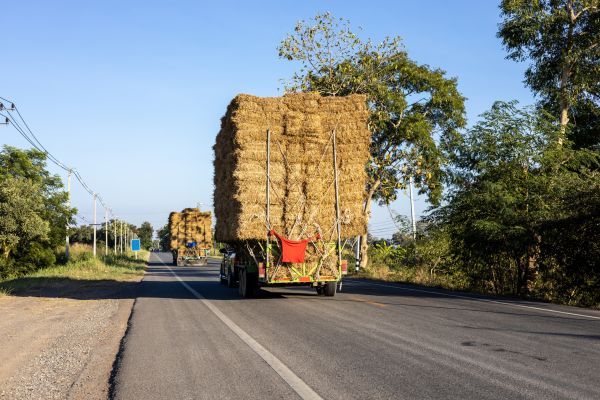 Pine Straw Delivery in Kennewick