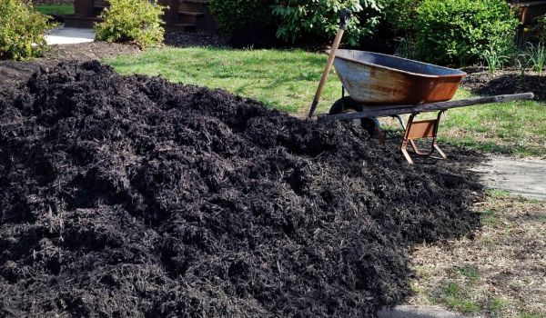 Black Mulch Delivery in Kennewick
