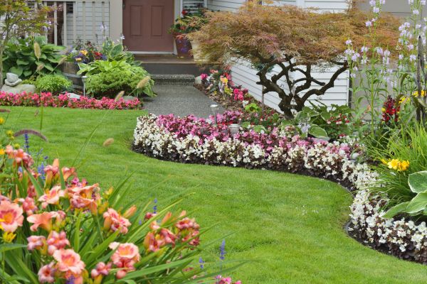 Perennial Landscaping in Kennewick