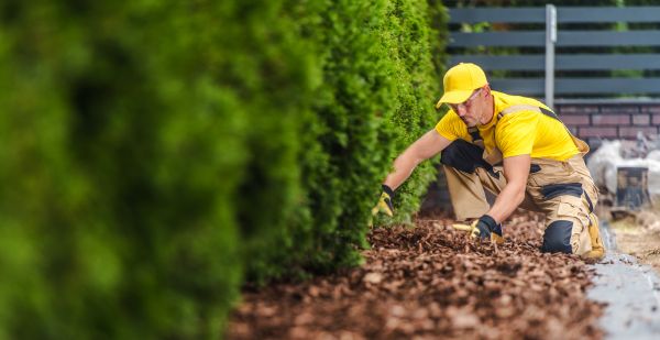Cypress Mulch Installation in Kennewick