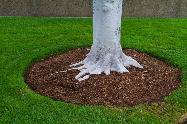 Brown Mulch Installation in Kennewick