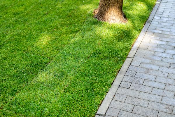 Border Stone Installation in Kennewick