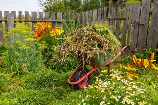 Garden Cleanup Service in Kennewick