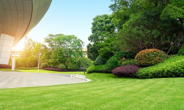 Business Landscape Design in Kennewick