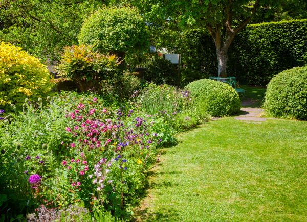 Yard Landscaping Service in Kennewick
