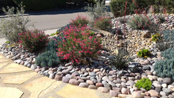 Xeriscape Landscaping in Kennewick