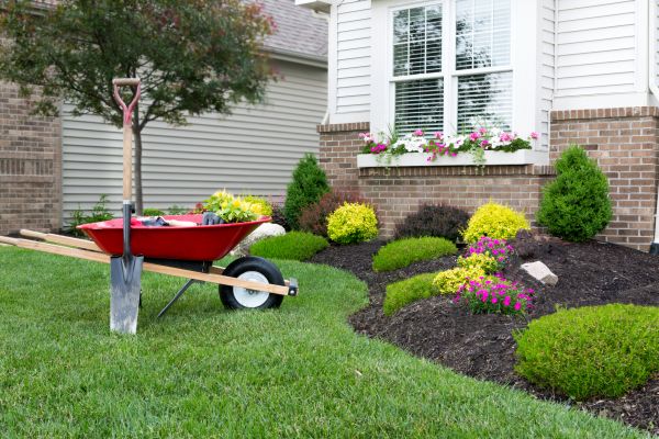 Tree And Shrub Planting in Kennewick