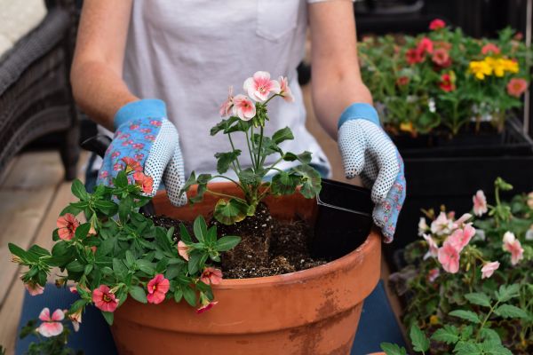 Plant Care Service in Kennewick