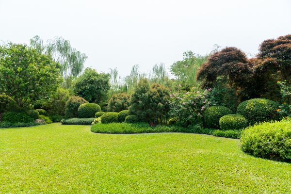 Tree Landscaping in Kennewick