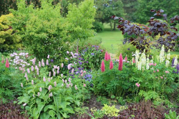 Flower Bed Planting in Kennewick