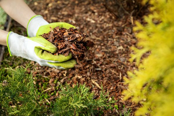 Garden Mulch Delivery in Kennewick