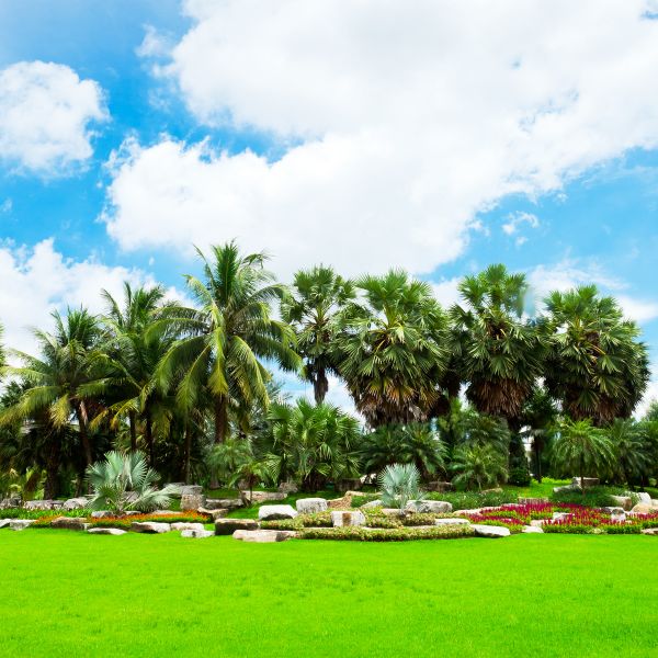 Tropical Landscaping in Kennewick