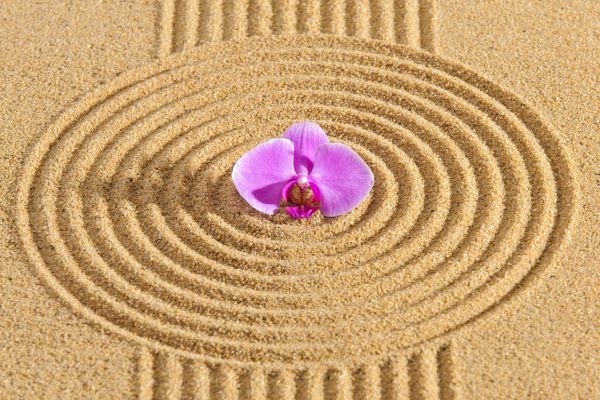 Sand Garden Landscaping in Kennewick