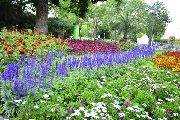 Perennials Planting in Kennewick