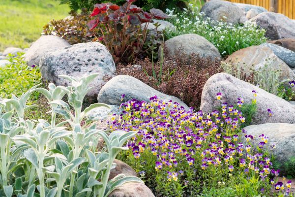 Rock Garden Installation in Kennewick