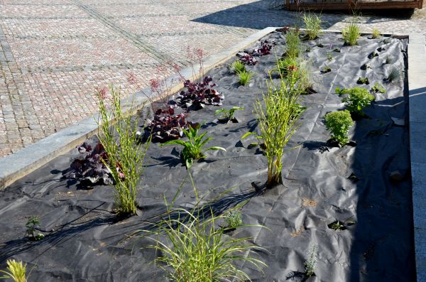 Landscape Fabric Installation in Kennewick