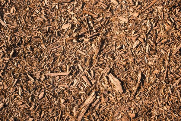 Wood Chips Removal in Kennewick