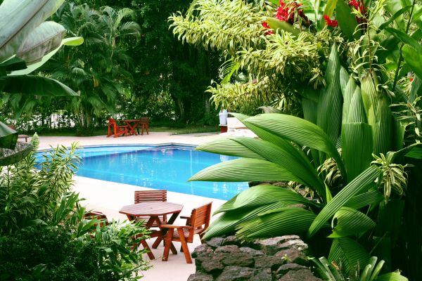 Pool Area Landscaping in Kennewick