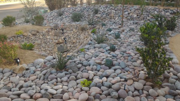 Yard Xeriscaping in Kennewick