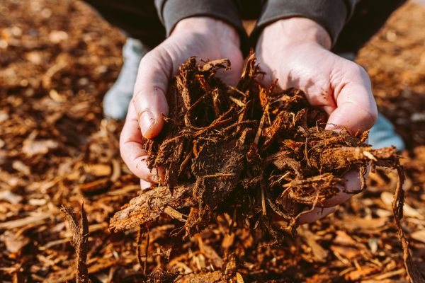 Bark Chips Delivery in Kennewick