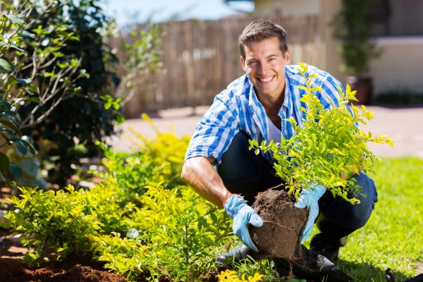 Shrub Landscaping in Kennewick
