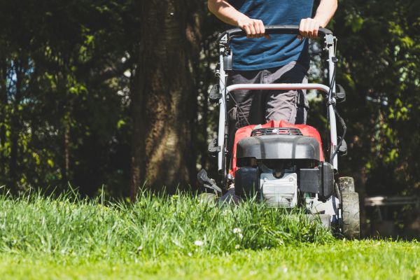 Garden Trimming Service in Kennewick