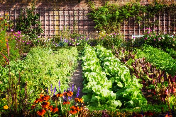 Garden Planting Service in Kennewick
