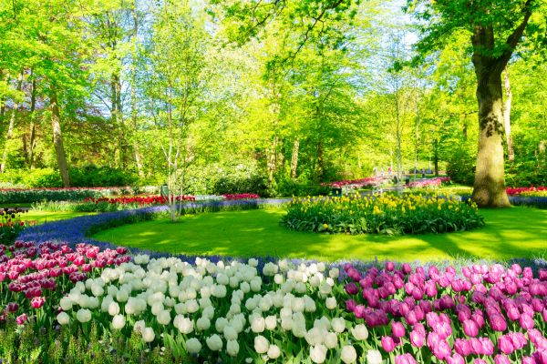 Flower Landscaping in Kennewick