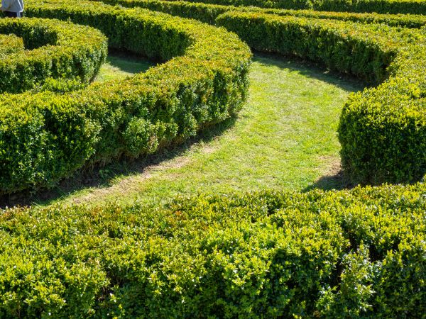Bush Landscaping in Kennewick