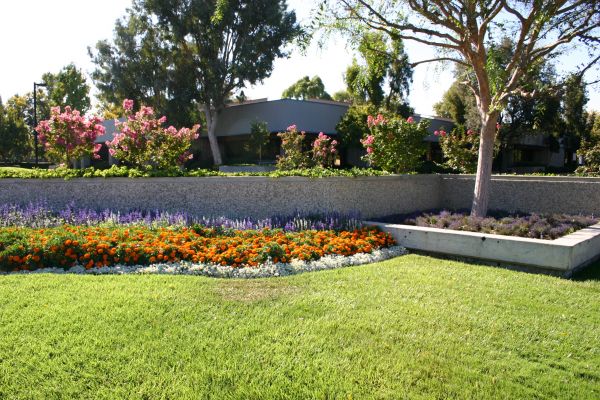 Commercial Landscape Service in Kennewick
