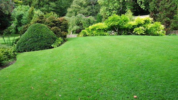 Commercial Landscape Design in Kennewick