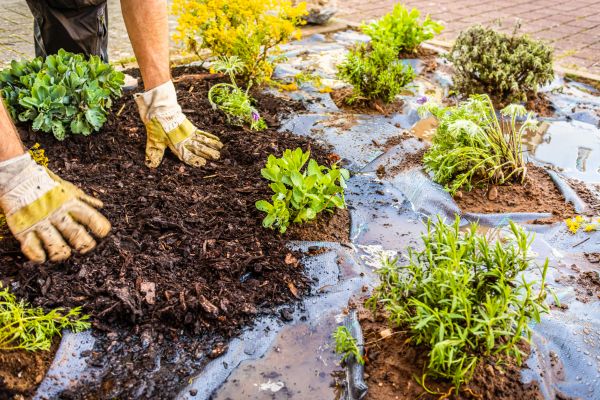 Mulch Fabric Installation in Kennewick