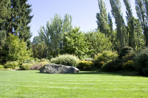 Yard Enlargement in Kennewick