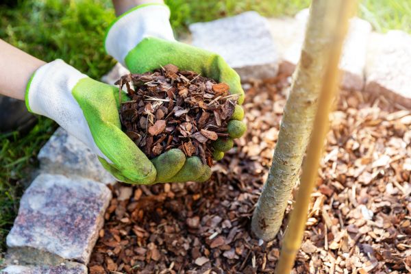 Tree Bark Delivery in Kennewick