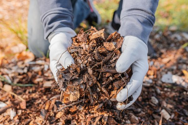Shredded Mulch Installation in Kennewick