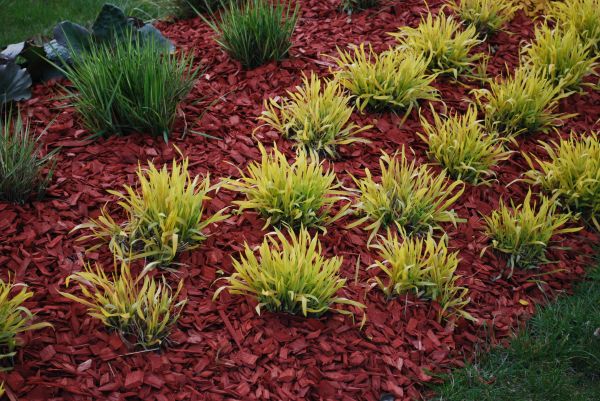 Red Mulch Installation in Kennewick