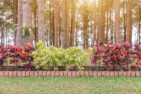 Small Garden Landscaping in Kennewick
