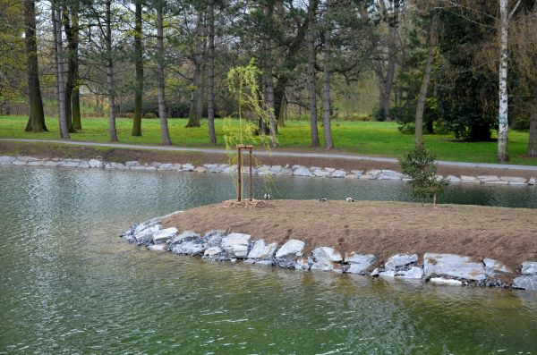 Pond Landscaping Service in Kennewick