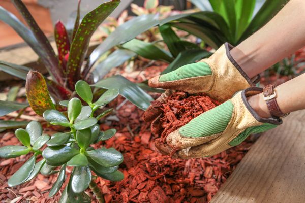 Cedar Mulch Installation in Kennewick