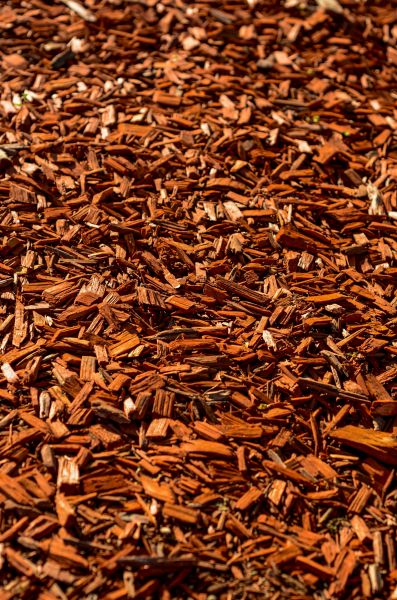 Cedar Mulch Spreading in Kennewick
