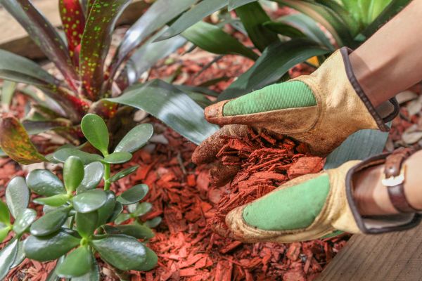 Residential Mulching in Kennewick