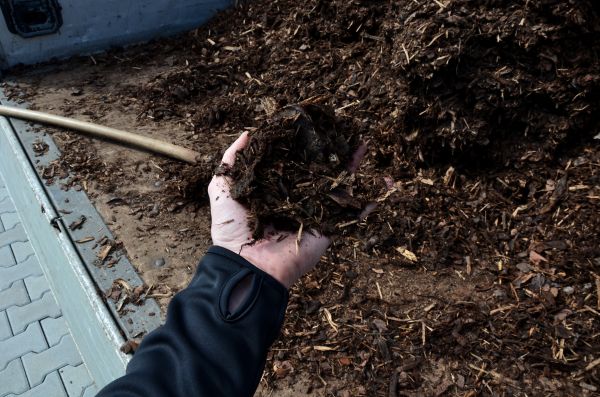 Condo Mulching in Kennewick